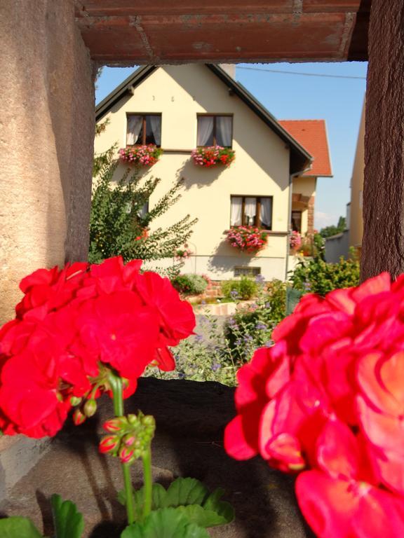 Chambre D'Hotes Du Zellberg Bed & Breakfast Nothalten Bagian luar foto